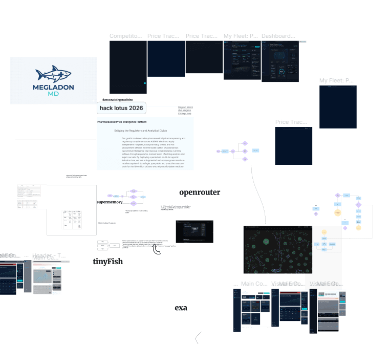 MegalodonMD interface, frame 2